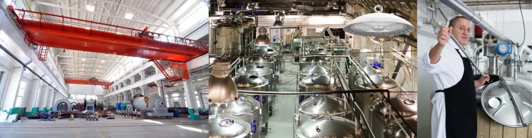 NSF CE UFO LED ハイベイライト 100W スムーズボディ アンチダスト デザイン 清潔性 食品・飲料産業 12