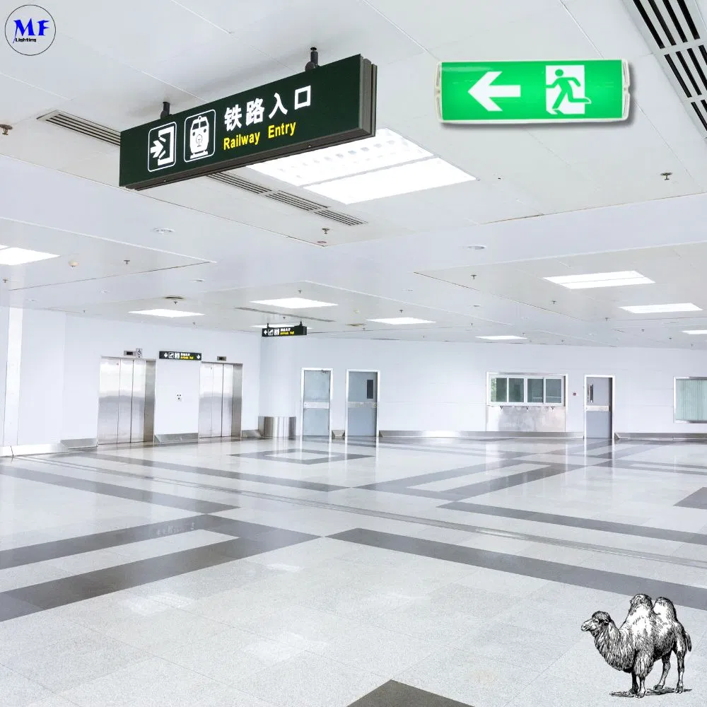 LED安全非常口サインライト、8W IP65防水リチウム電池、壁掛けABS PC、高輝度 11