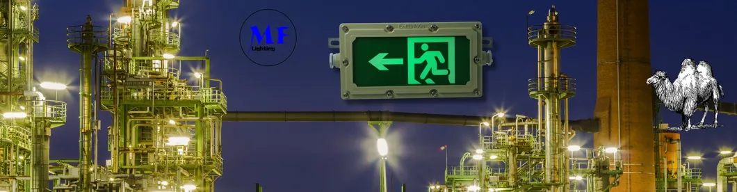 LED非常口避難誘導灯 壁掛け Ni-CD 4W IP65 防爆 鉄製 病院 空港 パニック 6