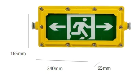 LED非常口避難誘導灯 壁掛け Ni-CD 4W IP65 防爆 鉄製 病院 空港 パニック 13