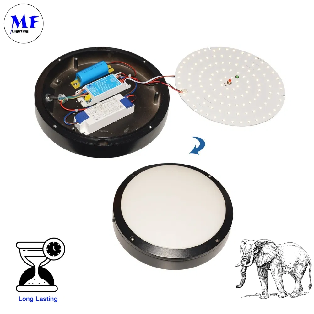 4W 6W 8W Li-FEP04 バッテリー LED 非常用ドライバー パニック非常用電源パック バックアップバラスト 非常灯キット パニックライトバラスト 10