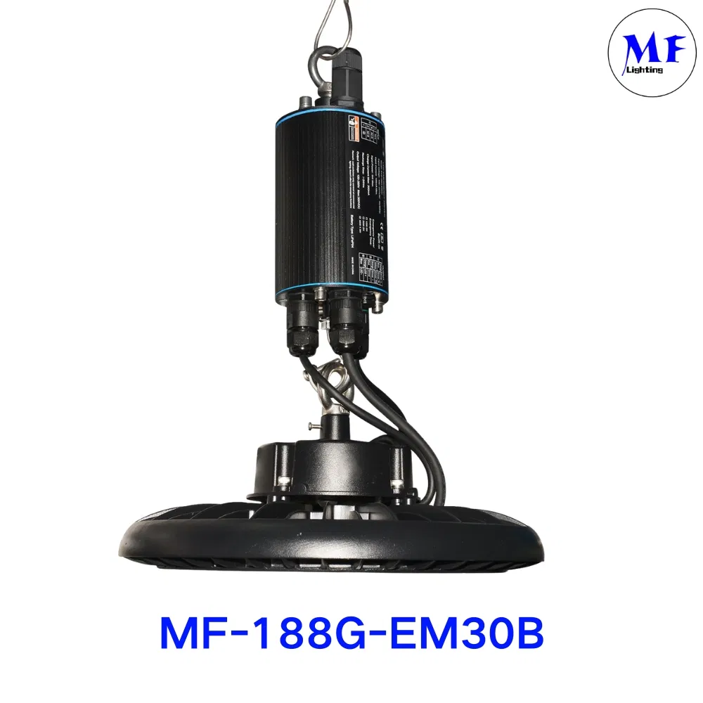 4W 6W 8W Li-FEP04 バッテリー LED 非常用ドライバー パニック非常用電源パック バックアップバラスト 非常灯キット パニックライトバラスト 11