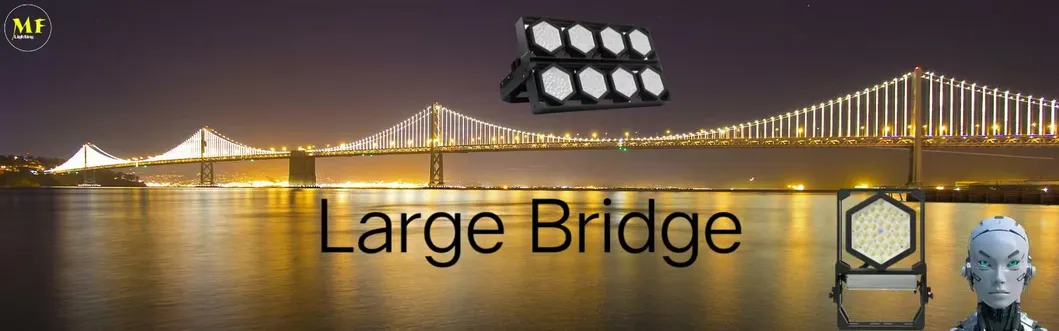 LED Sport Stadium Light Outdoor Landescape Modular Black Color Anti Corrotion High Driver 140lm/W IP67 Ik08 7
