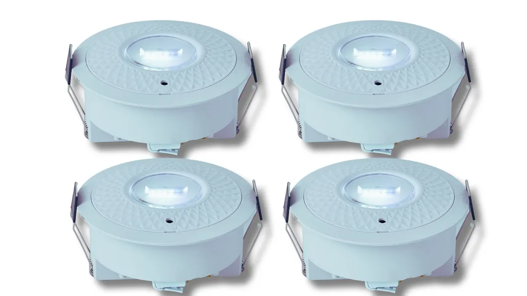 パネルダウンライト LED パニック 緊急脱出 信号灯 IP65 バッテリーバックアップ 充電可能 公立学校 病院 ホワイト 0
