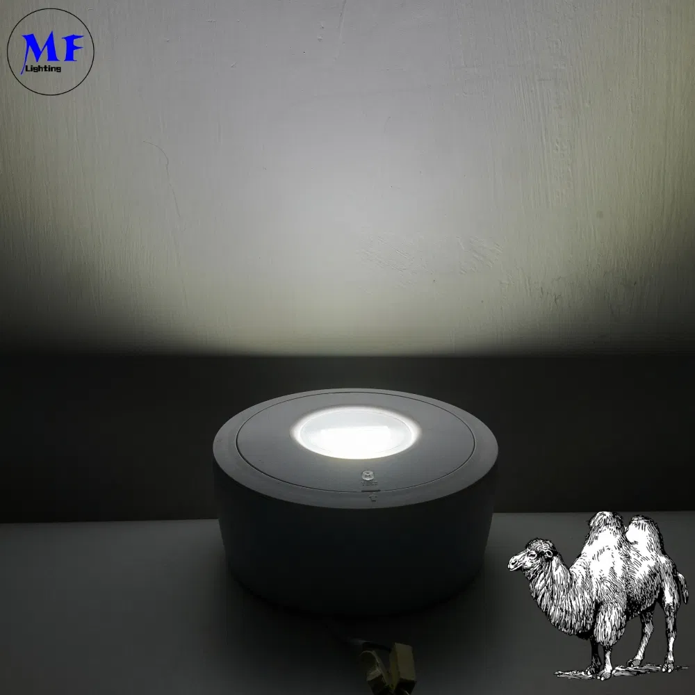パネルダウンライト LED パニック 緊急脱出 信号灯 IP65 バッテリーバックアップ 充電可能 公立学校 病院 ホワイト 3
