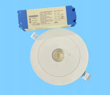 パネルダウンライト LED パニック 緊急脱出 信号灯 IP65 バッテリーバックアップ 充電可能 公立学校 病院 ホワイト 5
