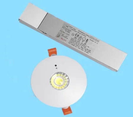 パネルダウンライト LED パニック 緊急脱出 信号灯 IP65 バッテリーバックアップ 充電可能 公立学校 病院 ホワイト 10