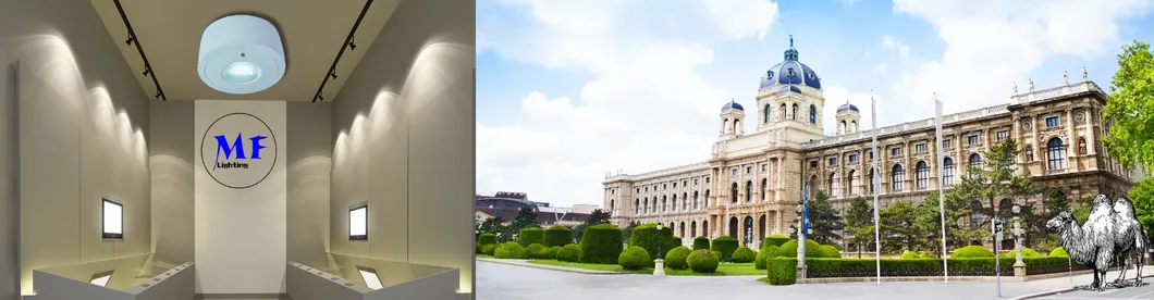 パネルダウンライト LED パニック 緊急脱出 信号灯 IP65 バッテリーバックアップ 充電可能 公立学校 病院 ホワイト 18