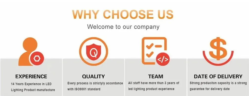 パネルダウンライト LED パニック 緊急脱出 信号灯 IP65 バッテリーバックアップ 充電可能 公立学校 病院 ホワイト 22