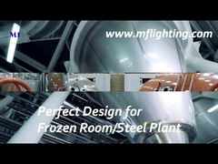 600mm LED トライプルーフ器具 25W、強化ガラスディフューザー付き