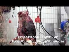 1200mm IP68防水トライプルーフLEDライトチェーンブラケット搭載