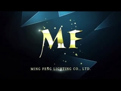 20W 40W 60W 2ft 4ft 5ft LEDの三証拠ライト天井/掛かる取付けられた蒸気堅いライト