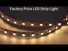 RGB RGBW IP20 IP65 IP68 7.2W-28.8W LED 5050 ストライプライト