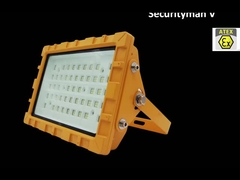 IP66 IP67 LEDのちり止めの前IECEX IK10 30W 50W 60W 80W 100Wの耐圧防爆街灯