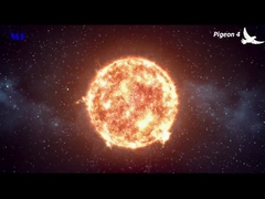 MF ソーラーストリートライト 鳩4 ビデオ