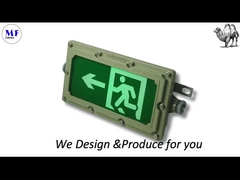 MF-S804 エマージェンシーダウンライトラクダ-7 vide