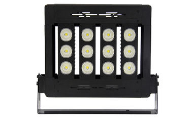 Anti - Salt Waterproof 100W High Power Outdoor LED Flood Light 130 - 150 LM / W