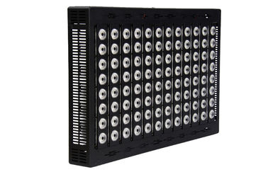 Waterproof High Power LED Flood Light 800 Watt For Stadium Lighting 150 LM Per Watt