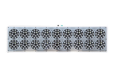 High Lumen ETL Listed LED Indoor Grow Lights For Greenhouse Planting -20℃ - 40℃