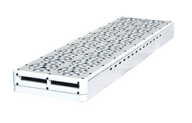 High Lumen ETL Listed LED Indoor Grow Lights For Greenhouse Planting -20℃ - 40℃