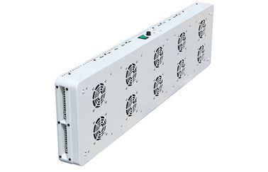 High Lumen ETL Listed LED Indoor Grow Lights For Greenhouse Planting -20℃ - 40℃