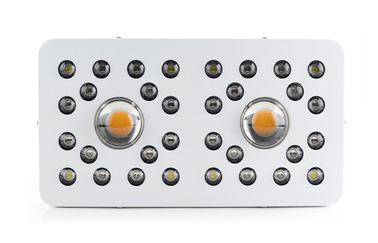 205Watt Full spectrum LED indoor Grow Lights with timing system, CREE COB leds grow light