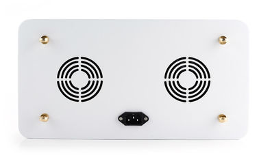 205Watt Full spectrum LED indoor Grow Lights with timing system, CREE COB leds grow light