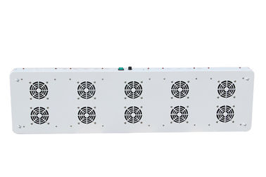 600 W Panel led grow light replacement 1000W HID/HPS , Complete spectrum