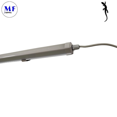 Energy Saving 50W LED Tri-Proof Light Small Size IP66 with Wide Beam Angle and High Luminous Efficiency