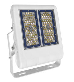 100W High Power LED Flood Light Outdoor 160lm/W, Varouis Mountings , IP67