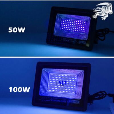 Factory Price Efficient 100W 200W Heat Dissipation IP66 Waterproof Adjustable Body Aluminum Material UV Curing Flood Light for Paint Printing Nails Repair Resin