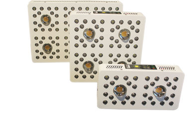 205Watt Full spectrum LED indoor Grow Lights with timing system, CREE COB leds grow light