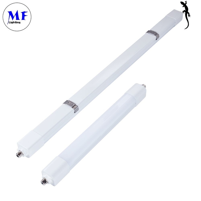 5 Years Warranty LED Tri-Proof Light 50W CCT Adjustable Safety And Stable IP66 Waterproof
