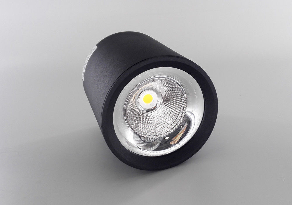Aluminum Black Surface Mounted LED Ceiling Lighting 20 W For Fashion Stores