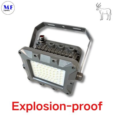 IP66 50W 75W 100W 150W 200W 240W 300W 350W 400W イートン石油採掘オフショアゾーン防爆照明 LED防爆 ATEX投光照明